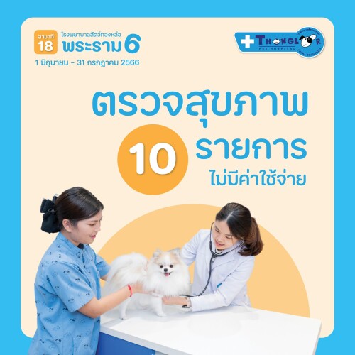 05_Promotion.jpeg