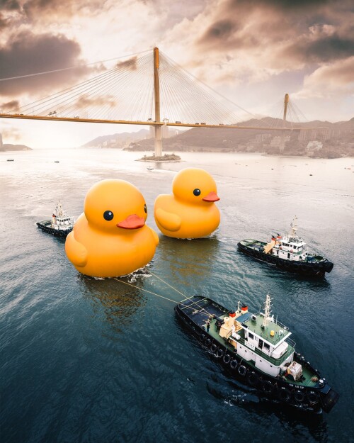 1b-The-Rubber-Duck.jpeg