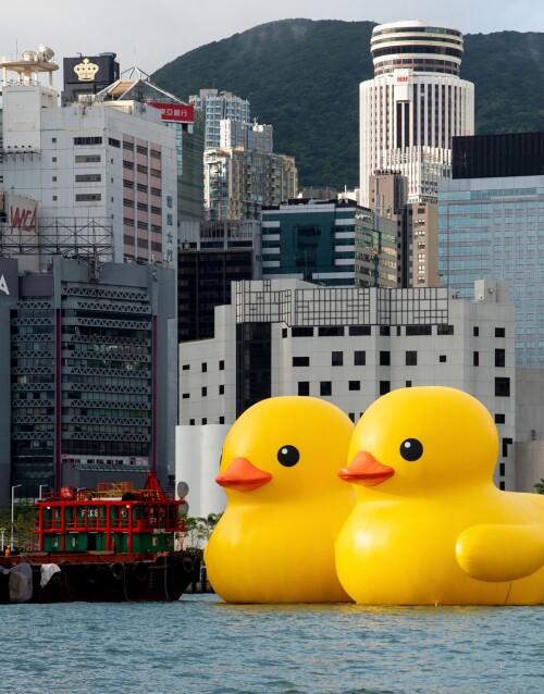 1c-The-Rubber-Duck.jpeg