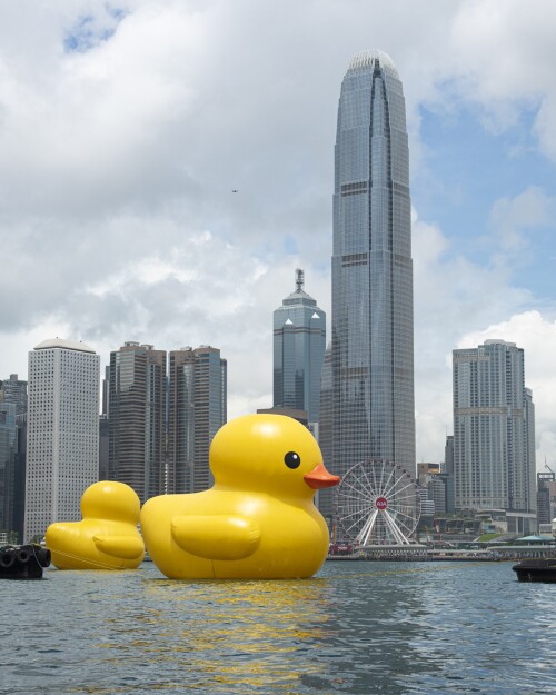 DOUBLE-DUCKS-4.jpeg
