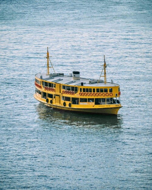 DOUBLE-DUCKS_Star-Ferry-2.jpeg