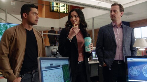 IMG_NCIS-S19-25.06.66.jpeg