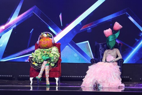 Mask-singer-12-3.jpeg