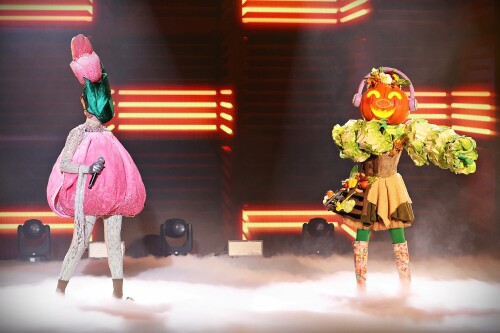 Mask-singer-12.jpeg