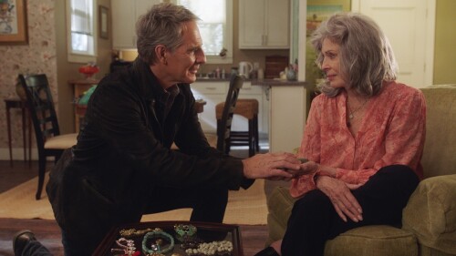 NCIS-New-Orleans-S7-EP14-21.06.66.jpeg