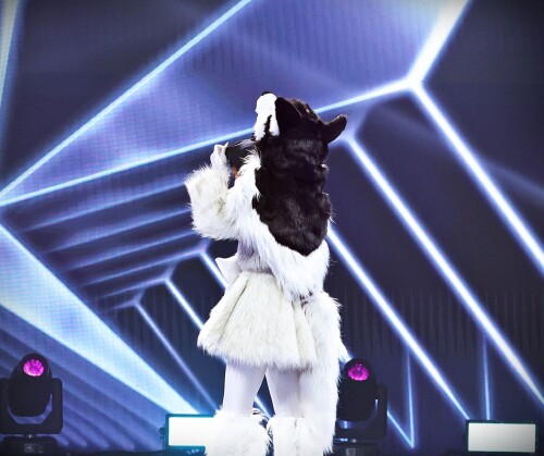 thumbnail_-4EVE-3.jpeg